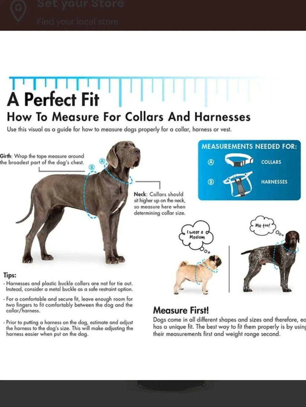 20 Inch Dog Collar with Metal D-Ring